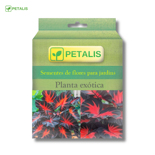 Sementes de planta exótica Petalis