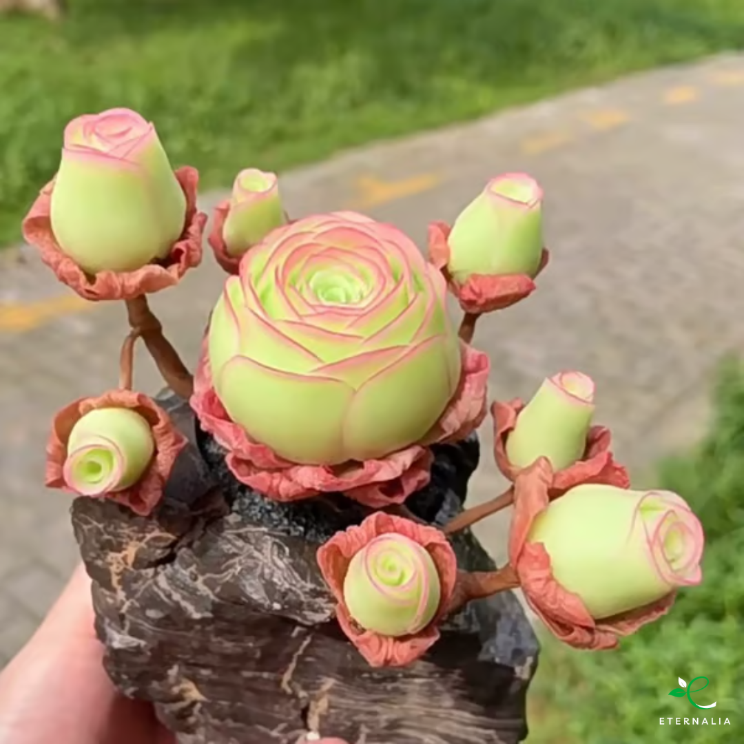 Sementes da Planta Suculenta Eternalia