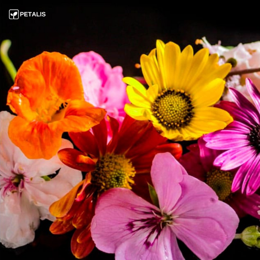 Mistura de sementes de flores Petalis